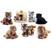 Plush & Co - Jungly les Animaux de la Jungle Peluche 21 cm - Animaux en Peluche - Sélection Aléatoire